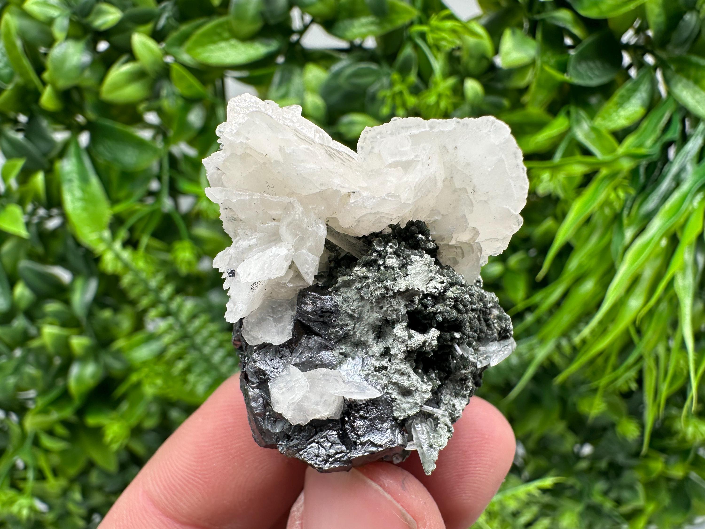Mirror Galena, Calcite, Sphalerite on Quartz with Chlorite: Collection Mineral