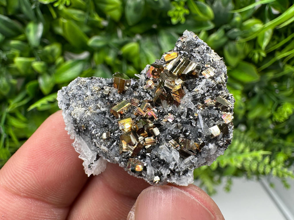 Pyrite Sphalerite Quartz  Mineral Specimen, Krushev dol Mine