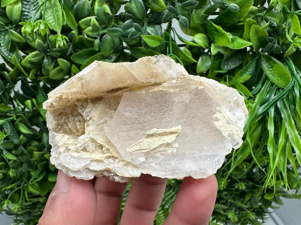UV Reactive Mangano Calcite, Borieva Mine Bulgaria, Mineral Specimen