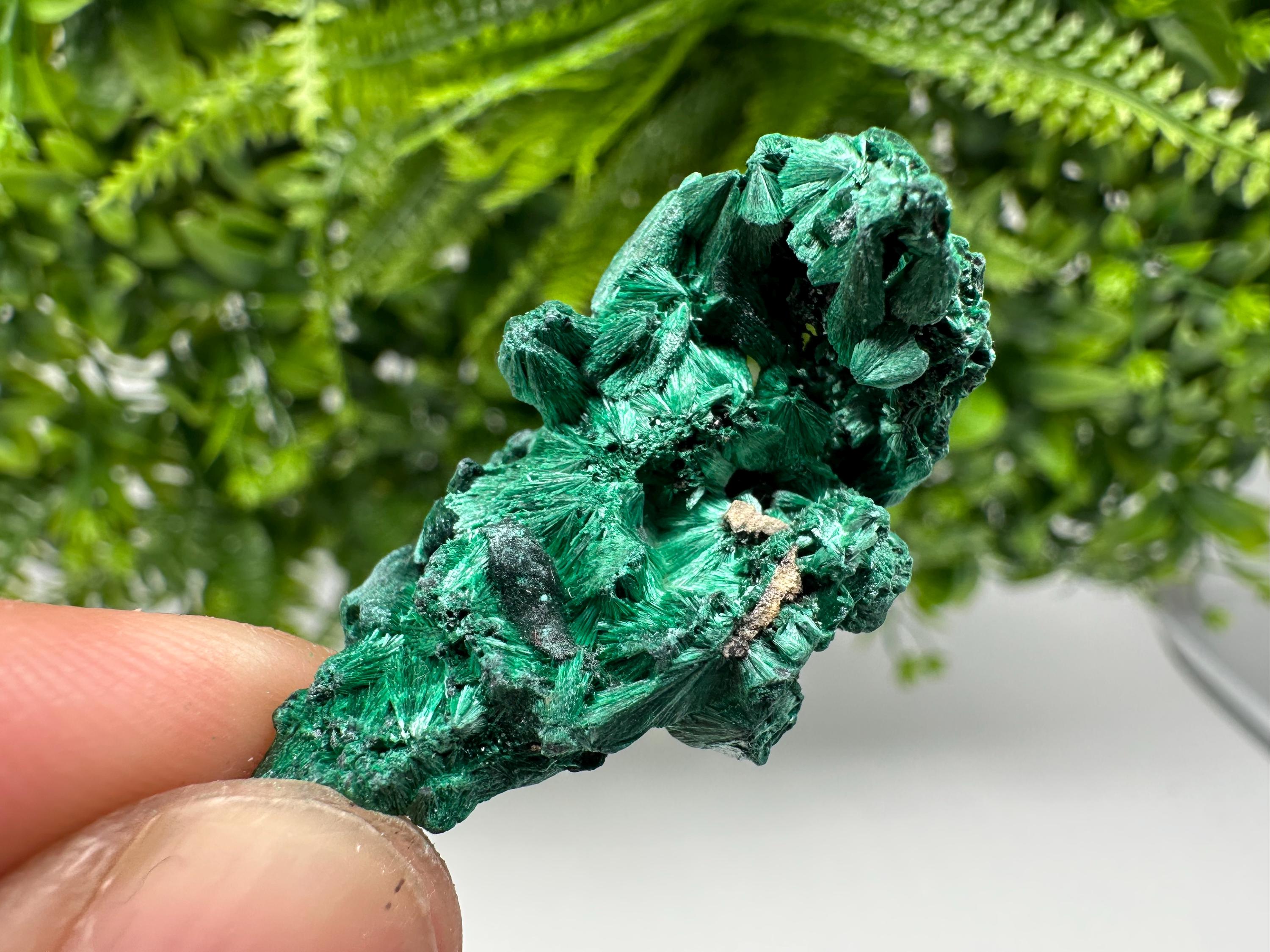 Malachite Crystal from Congo,Minerals,Crystals from Congo,Green Malachite, Malachite,Natural Malachite,Malachite Stone,Chakra, Specimens