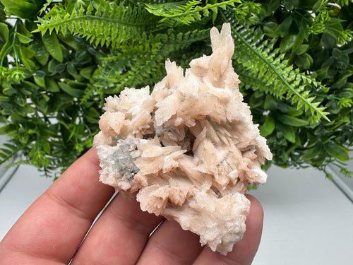 Calcite on Green Quartz: Djurcovo Mine, Bulgaria Crystal