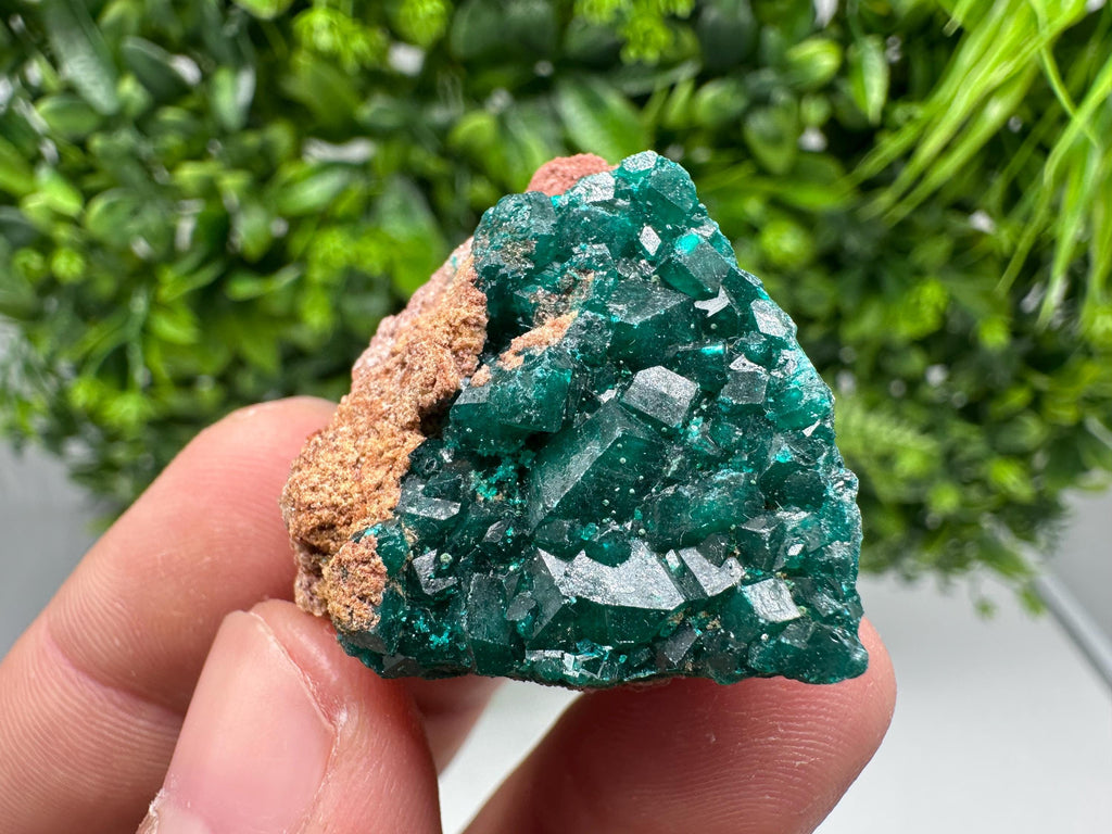 Stunning Green Dioptase from Sanda Hills,Mindouli,Pool Department,Mindouli District,Congo,green Dioptase,Dioptas Crystal,Dioptase collecting