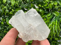 Apophyllite Stilbite on Chalcedony, India Crystal Mineral Specimen
