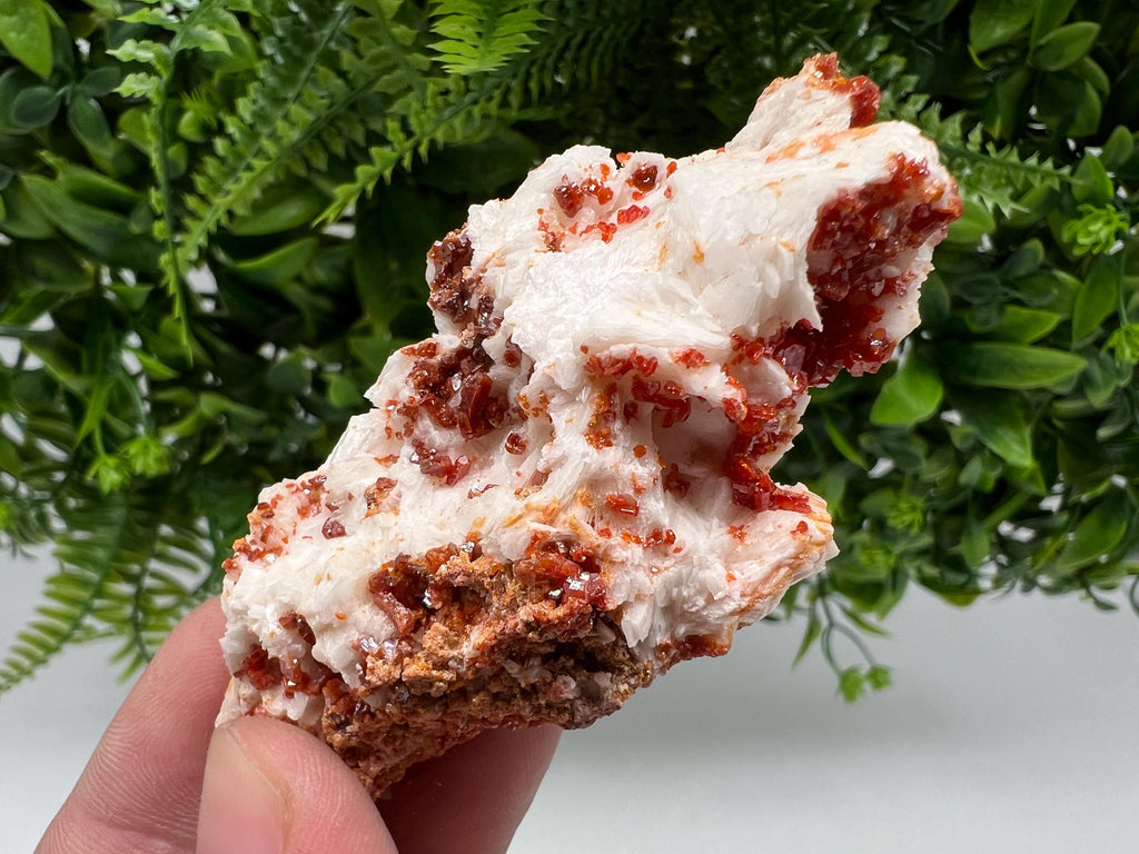 Wonderful Barite whit Vanadinite,Marocco,crystal minerals Speciment cluster Vanadinite crystal Vanadinite Geology Vanadinite cluster mineral