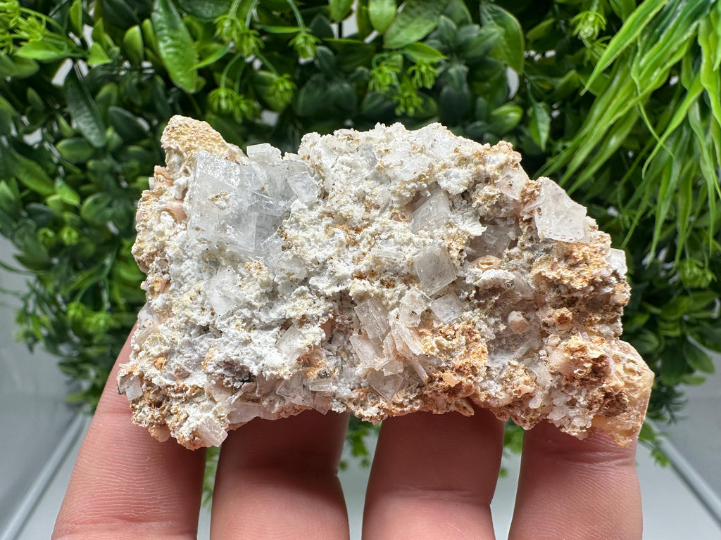 Dolomite Mangano Calcite with Barite on Marcasite, Androvo Mine Bulgaria