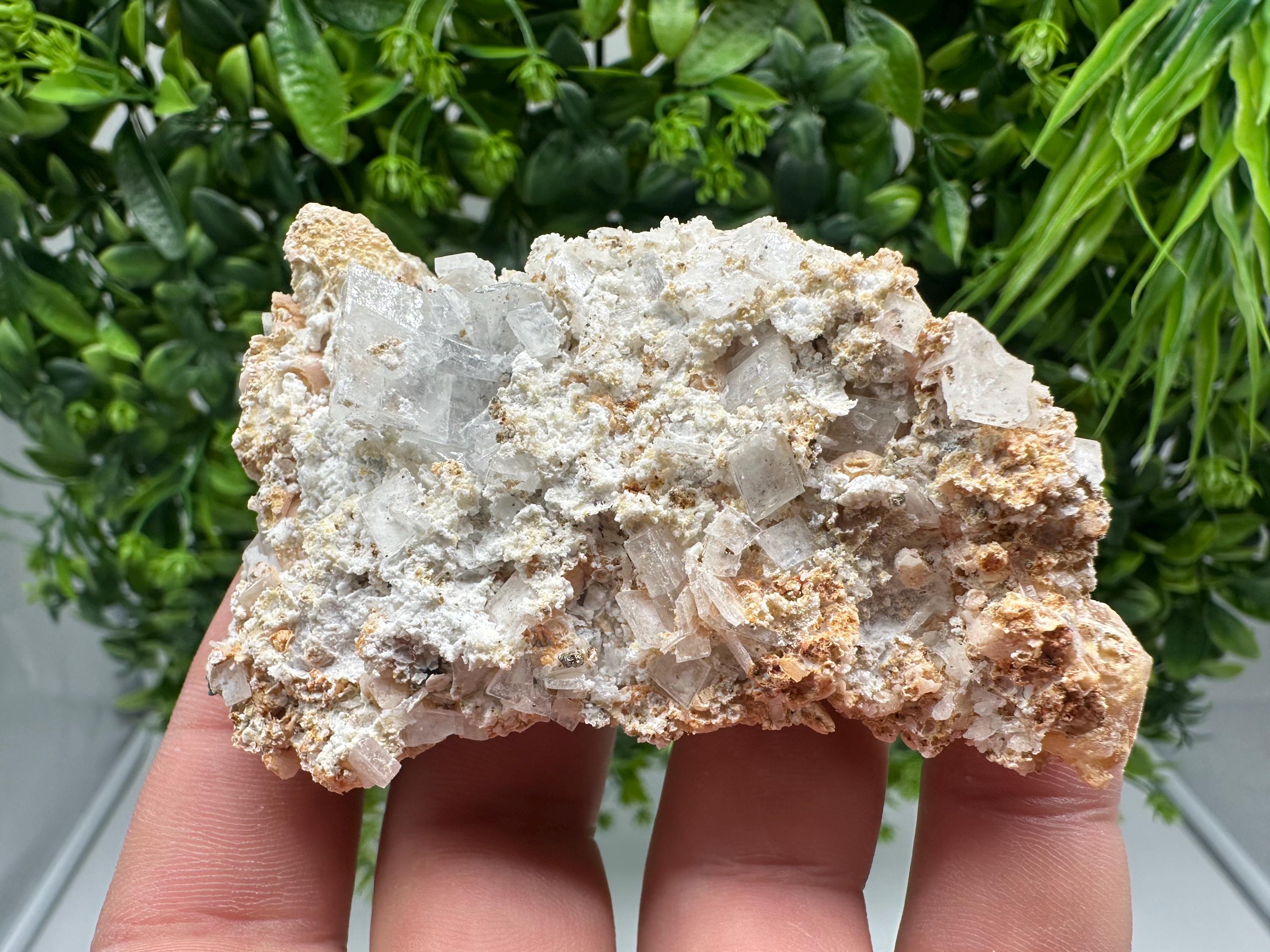 Dolomite Mangano Calcite with Barite on Marcasite, Androvo Mine Bulgaria