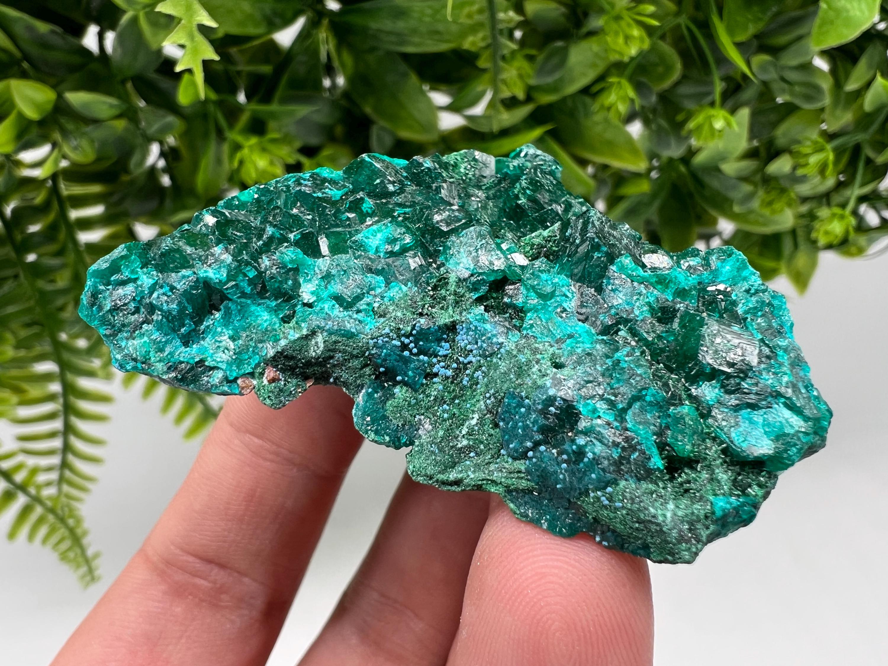 Stunning Green Dioptase from Sanda Hills,Mindouli,Pool Department,Mindouli District,Congo,green Dioptase,Dioptas Crystal,Dioptase collecting