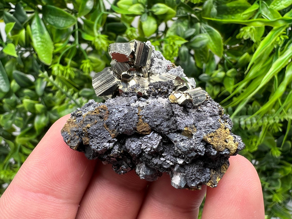 Golden Pyrite Sphalerite Cluster, Madan Bulgaria Mineral Specimen