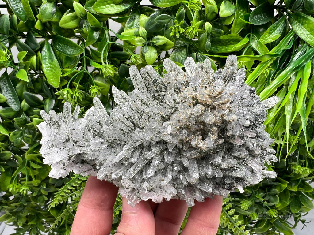 Quartz Rhodochrosite Cluster, Djurcovo Mine Mineral Specimen