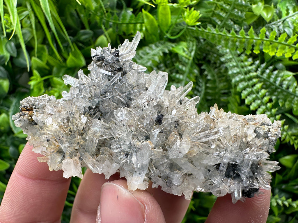Pyrite Sphalerite on Quartz, Borieva Mine, Bulgaria (8/6/3 cm)