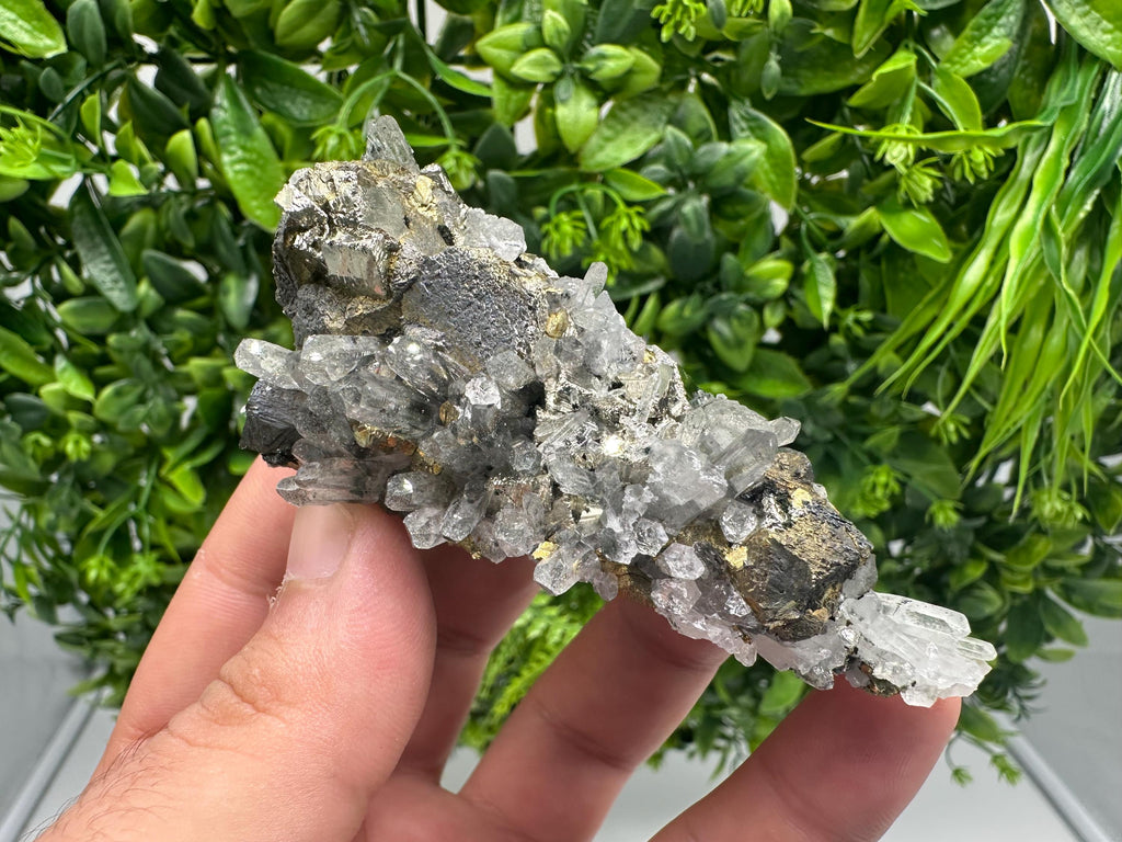 Stunning Chalcopyrite on Quartz,Chlorite From Djurcovo mine,Laki,Bulgaria,Natural,Collection mineral specimen,Home decor stone,Collection