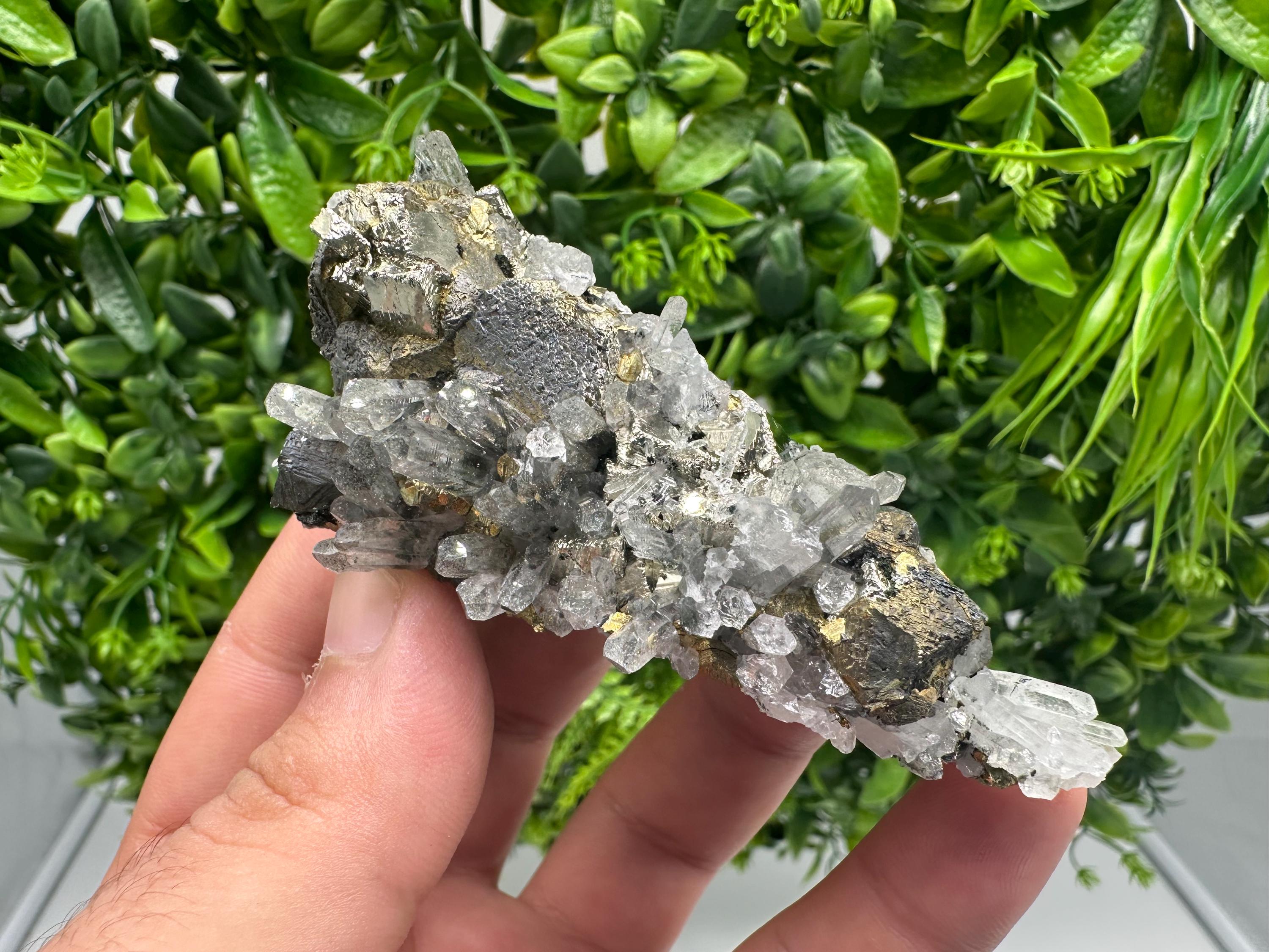 Stunning Chalcopyrite on Quartz,Chlorite From Djurcovo mine,Laki,Bulgaria,Natural,Collection mineral specimen,Home decor stone,Collection