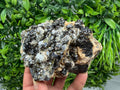 Sphalerite Cleiophane on Quartz, Krushev Dol Mine Mineral Specimen