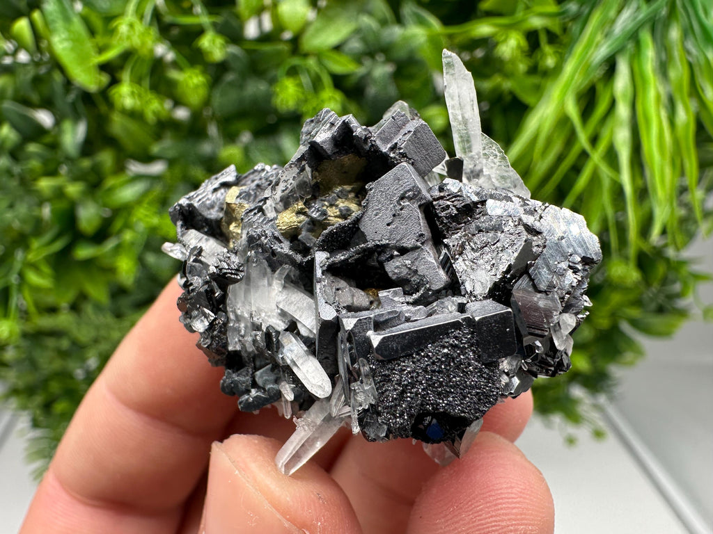 Wonderful Sphalerite Chalcopyrite on  Quartz whit Galena feom 9 th September mine,Bulgaria,natural,collection mineral specimen,gift