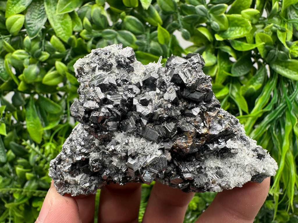 Sphalerite on Green Quartz, Madan Bulgaria, Mineral Specimen