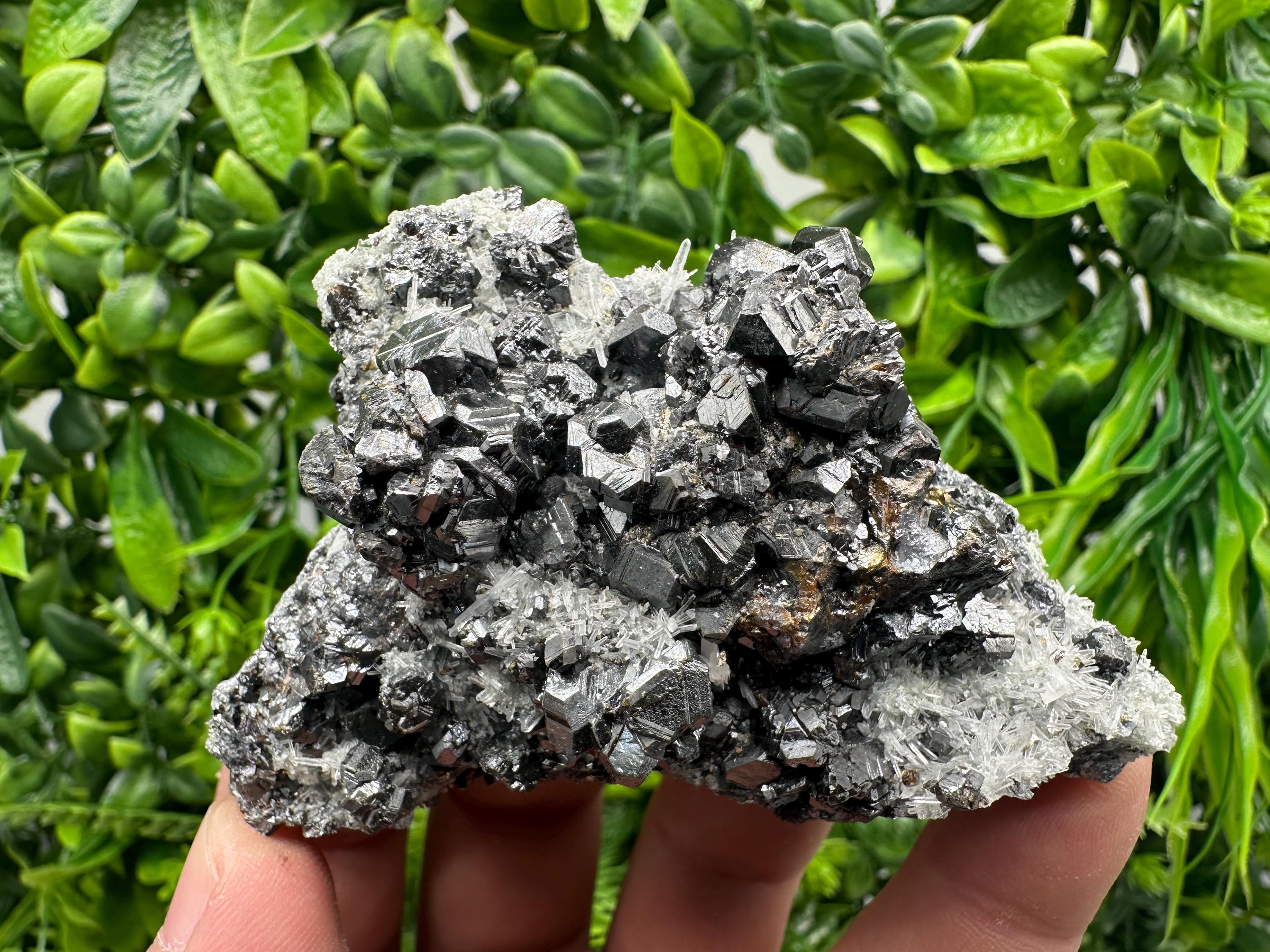Sphalerite on Green Quartz, Madan Bulgaria, Mineral Specimen