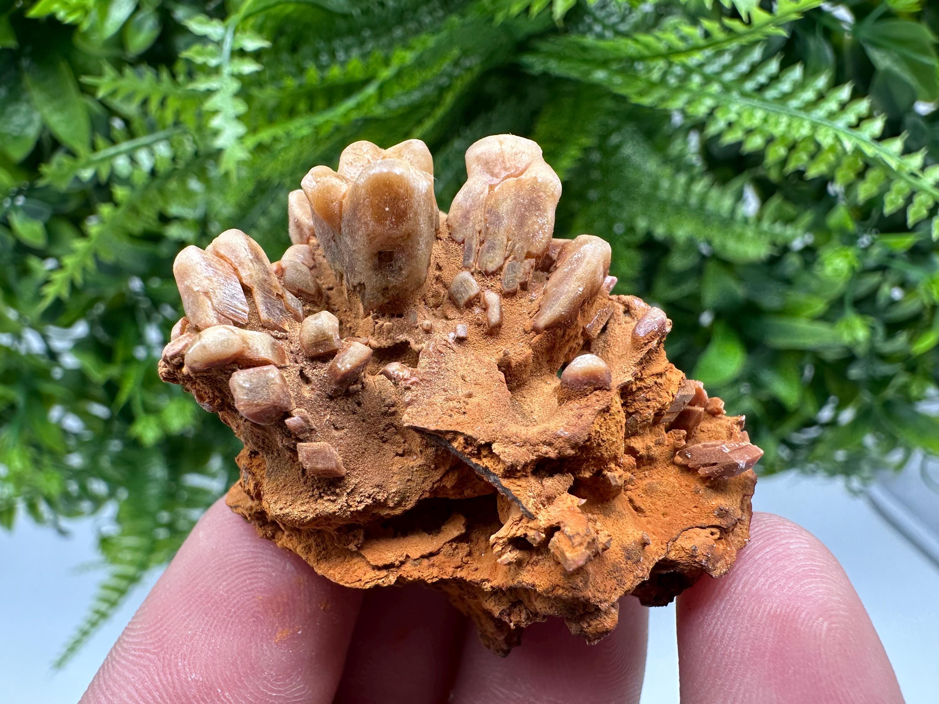 Brown Gypsum Selenite Crystal, Rudna Mine Mineral Specimen