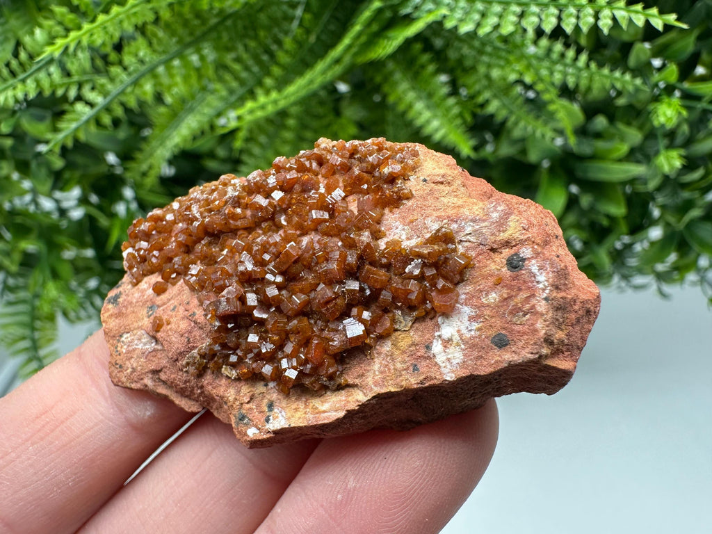 Red Vanadinite on Matrix from Marocco,crystal minerals Speciment cluster Vanadinite crystal Vanadinite Geology Vanadinite cluster minerals