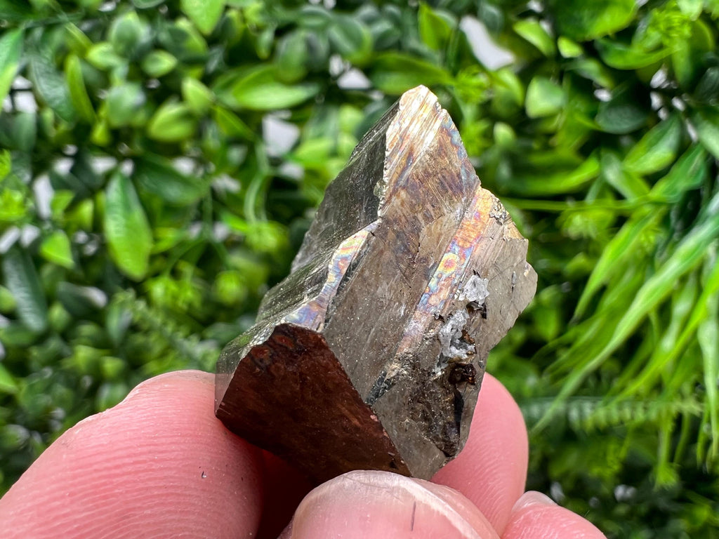 Mini Rainbow Pyrite Cluster, Borieva Mine, Bulgaria