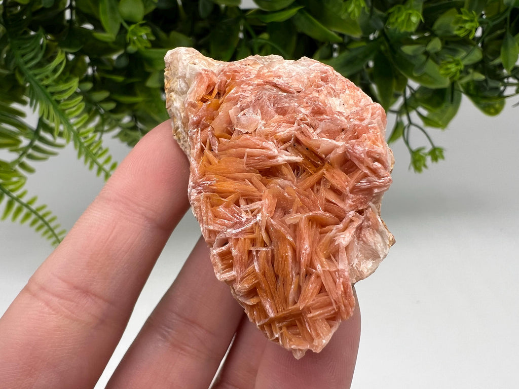 Wonderful Baryte with Cerussite on Galena from Morocco,Crystal, Mineral,Specimen,Cluster,Crystals,Barite Crystal,Cerussite Crystal,Specimen