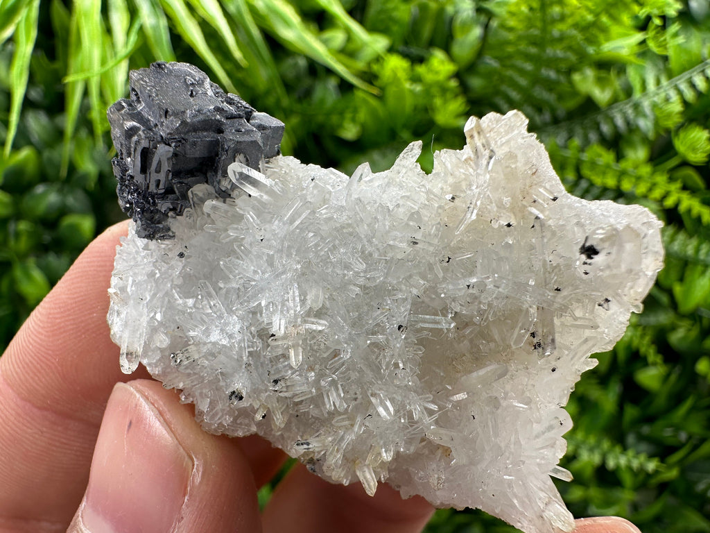 Galena on Quartz, Natural Crystal Mineral Specimen
