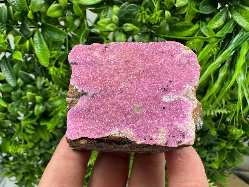 Cobalto Calcite Crystal, Pink Mineral Specimen, Republic of Congo