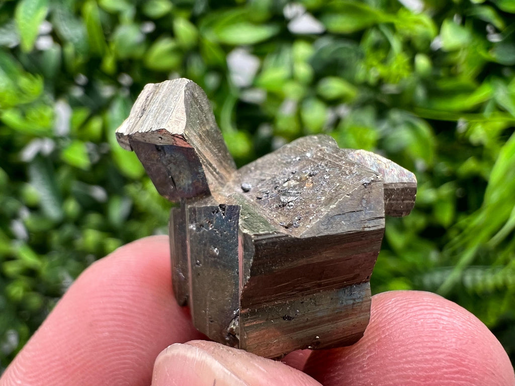 Mini Rare crystallisation Pyrite,Borieva mine,Bulgaria,floating Pyrite,golden Pyrite,Pyrite cluster,mini Collection specimen,Rainbow Pyrite