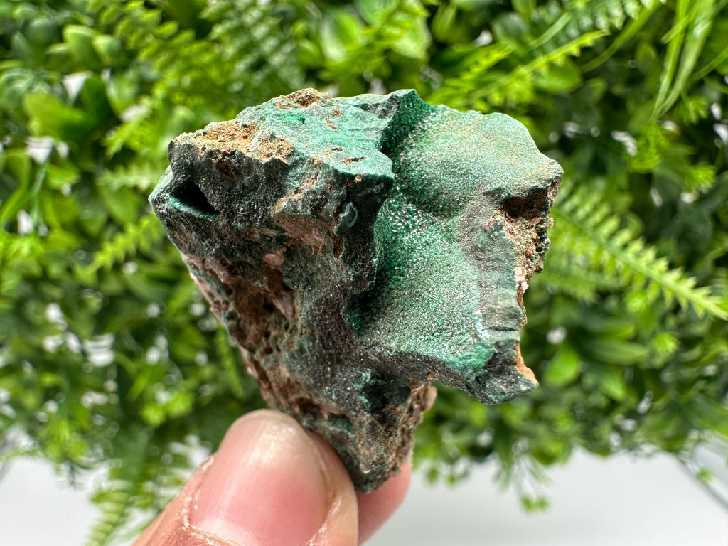 Malachite Crystal from Congo,Minerals,Crystals from Congo,Green Malachite, Malachite,Natural Malachite,Malachite Stone,Chakra, Specimens