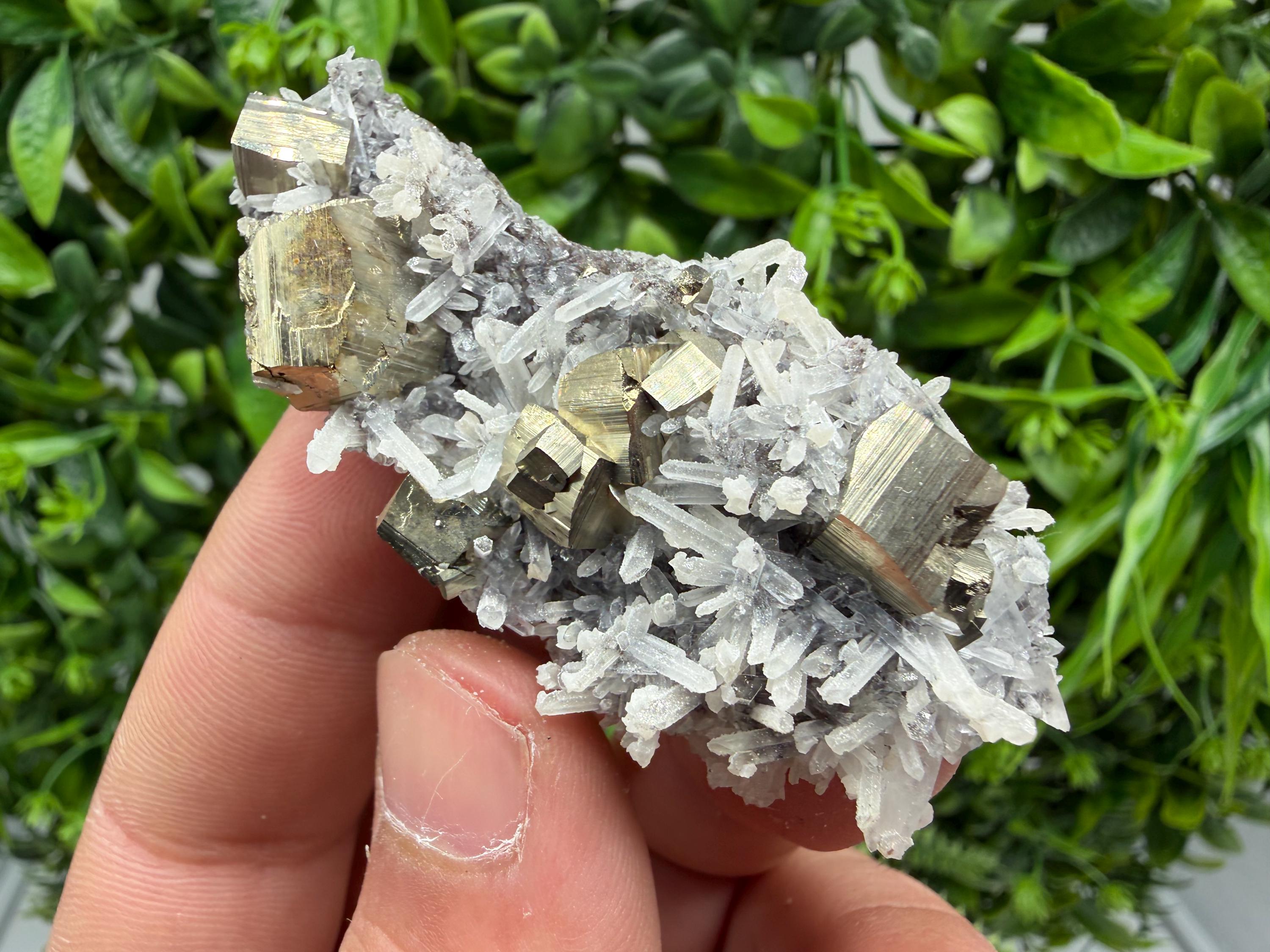 Pyrite Sphalerite Quartz  Mineral Specimen, Krushev dol Mine