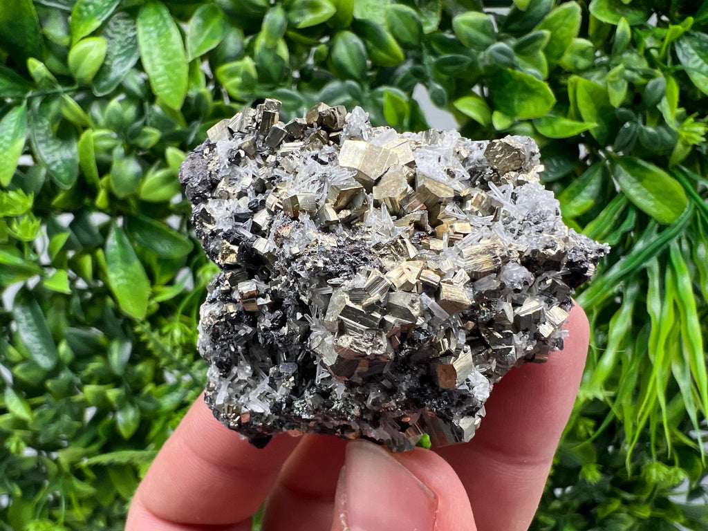 Rainbow Pyrite on Quartz, Natural Mineral Specimen, Borieva Bulgaria