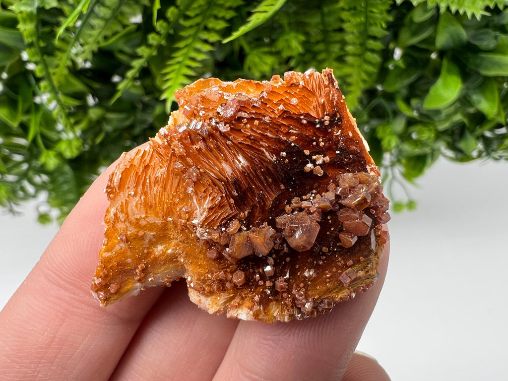 Red Vanadinite on Barite, Morocco Mineral Specimen