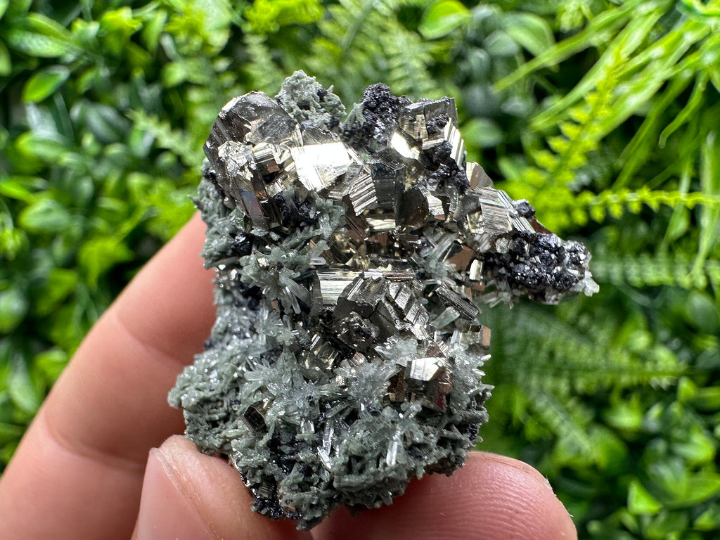 Crystallized Pyrite on Green Quartz: Borieva Mine, Bulgaria