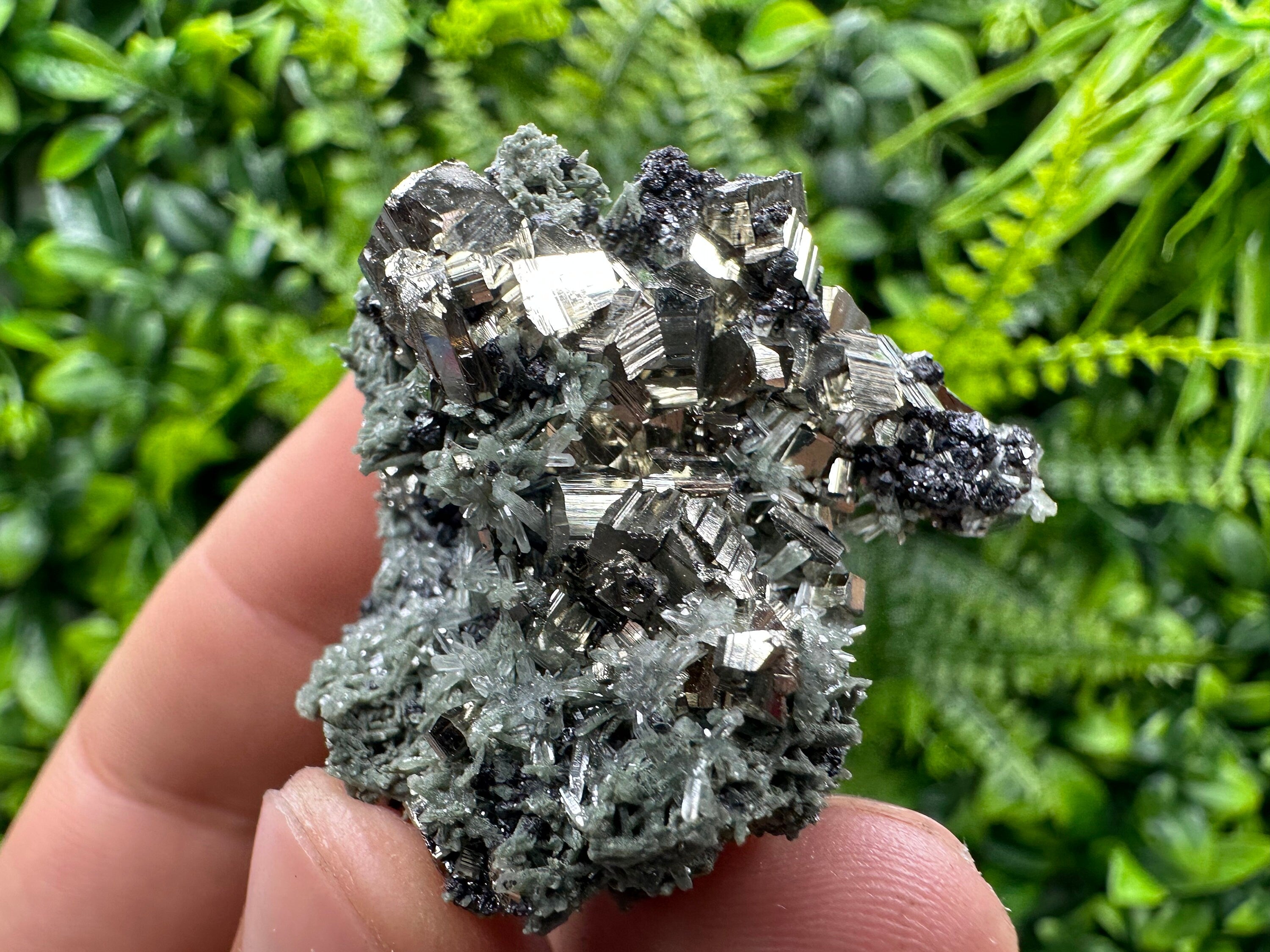 Crystallized Pyrite on Green Quartz: Borieva Mine, Bulgaria