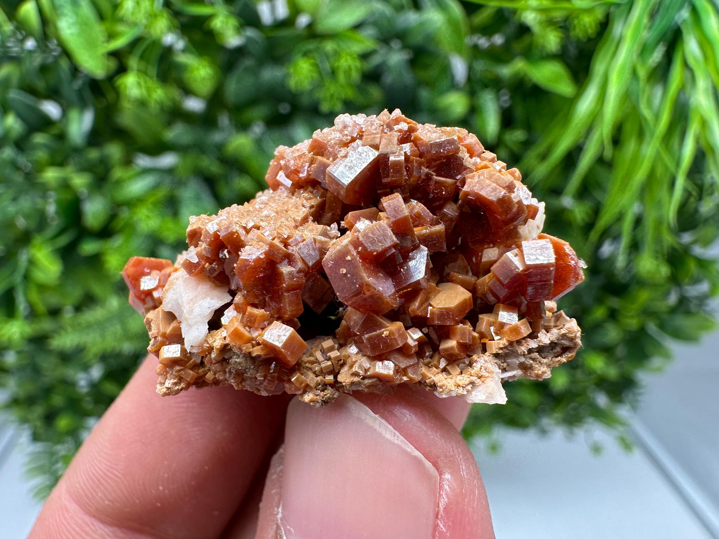Red Vanadinite on Barite from Marocco,crystal minerals Speciment cluster Vanadinite crystal Vanadinite Geology Vanadinite cluster minerals