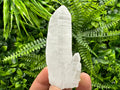 Transparent Quartz with Pyrite, Krushev dol Mine, Bulgaria