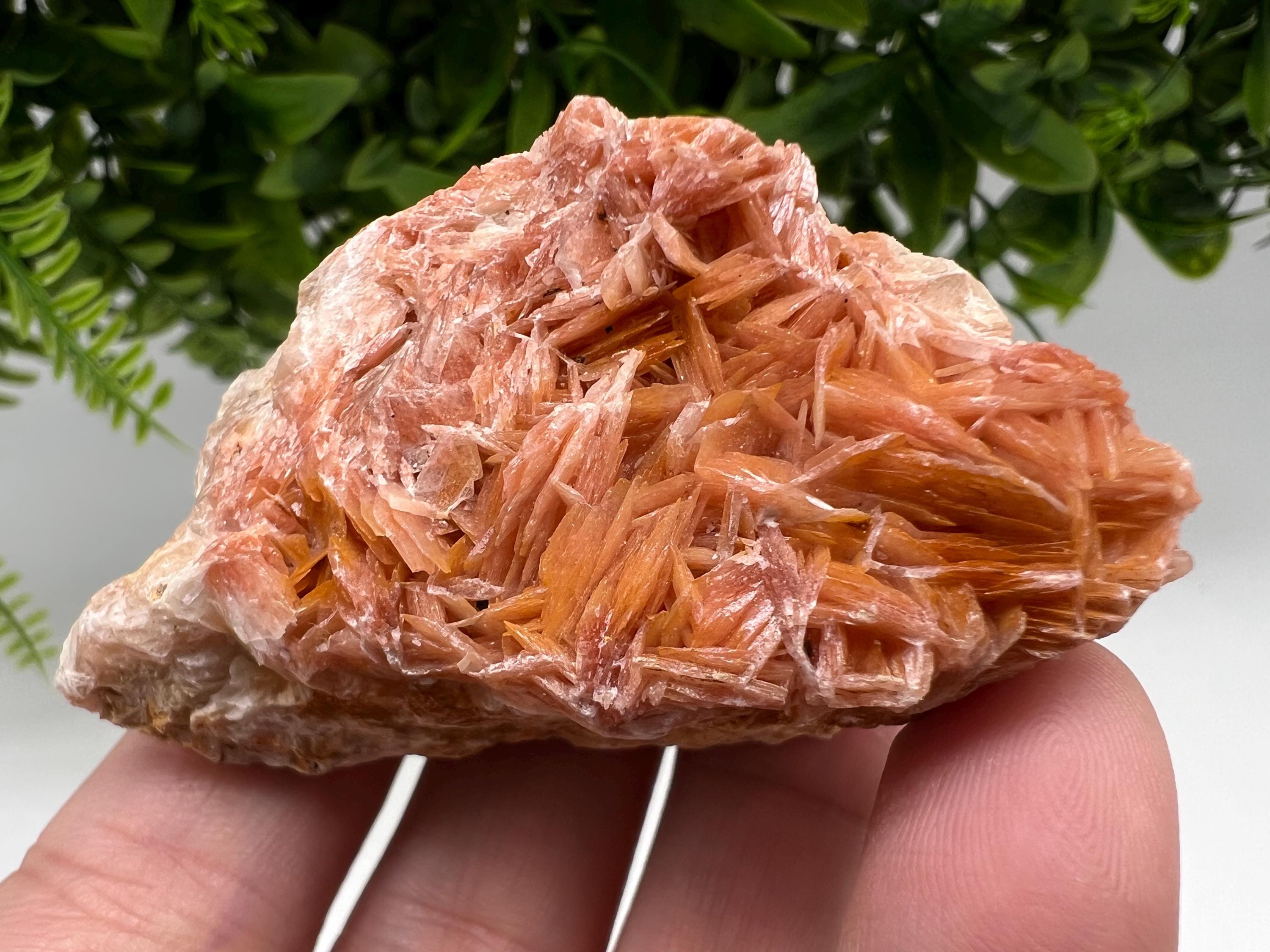 Wonderful Baryte with Cerussite on Galena from Morocco,Crystal, Mineral,Specimen,Cluster,Crystals,Barite Crystal,Cerussite Crystal,Specimen