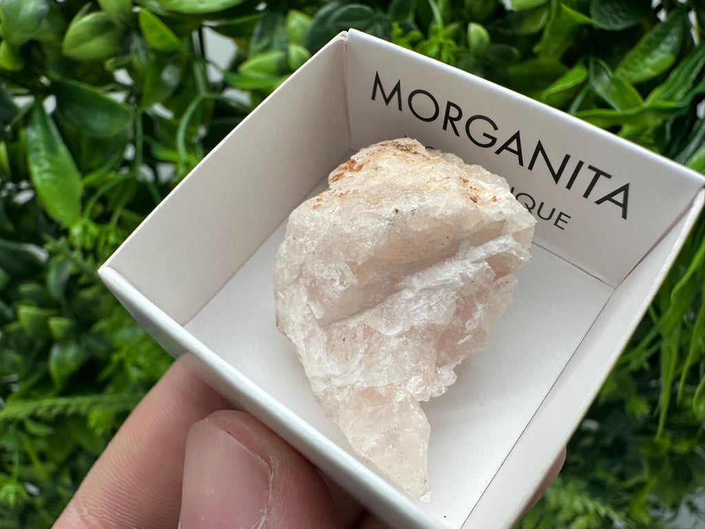 Rare Raw Morganite Specimen: Mozambique Crystal Collection (3/3.5cm)