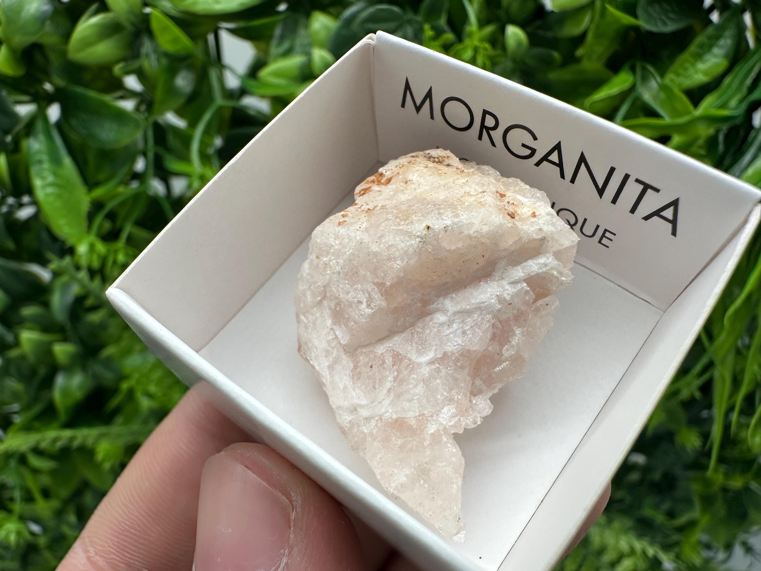 Rare Raw Morganite Specimen: Mozambique Crystal Collection (3/3.5cm)