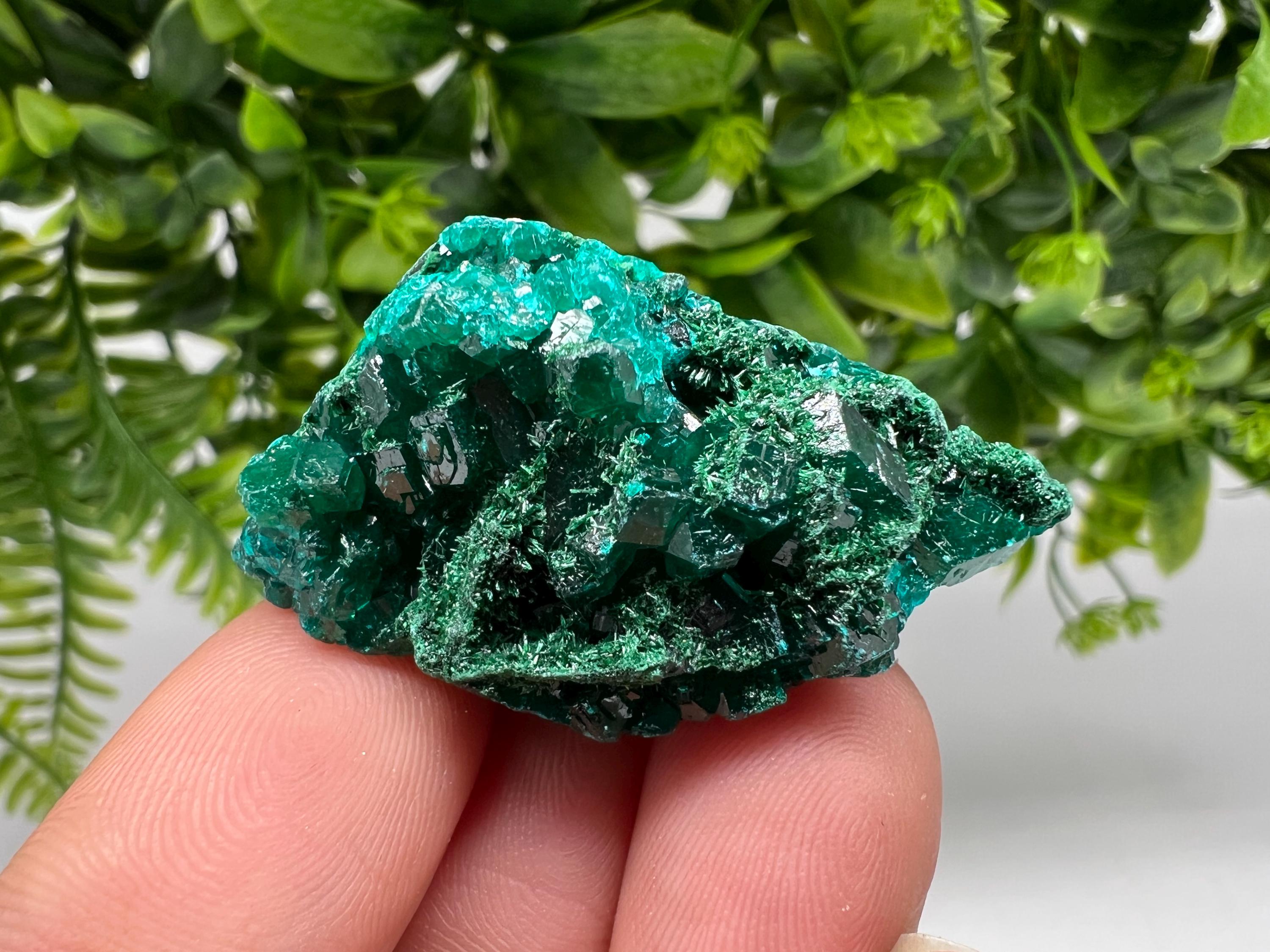 Stunning Green Dioptase from Sanda Hills,Mindouli,Pool Department,Mindouli District,Congo,green Dioptase,Dioptas Crystal,Dioptase collecting