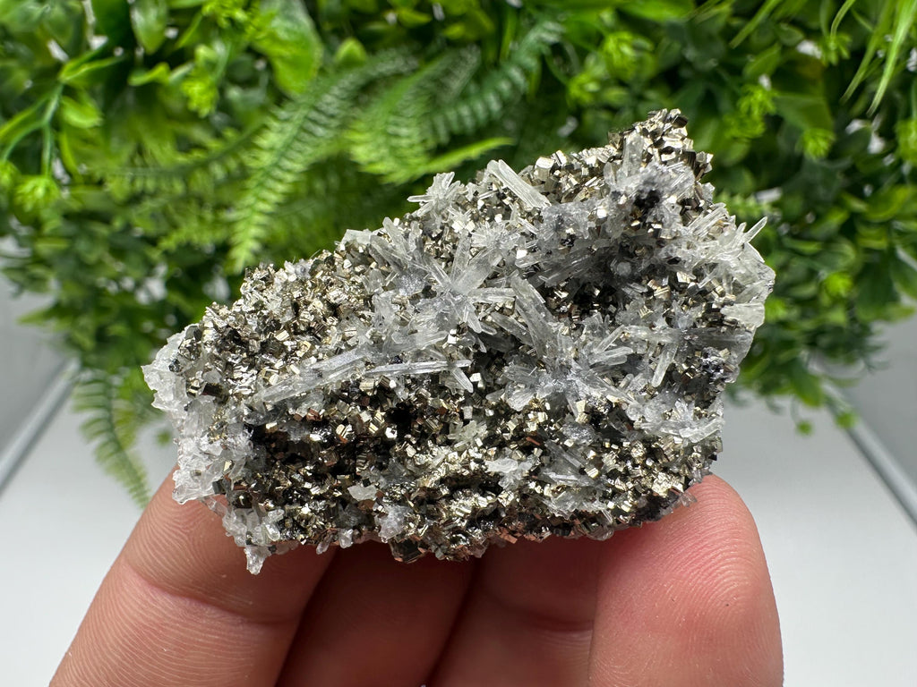 Pyrite on Green Quartz Mineral Specimen, Borieva Mine Bulgaria