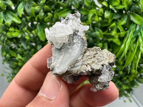 Barite Marcasite on Chalcedony, Androvo Mine, Bulgaria
