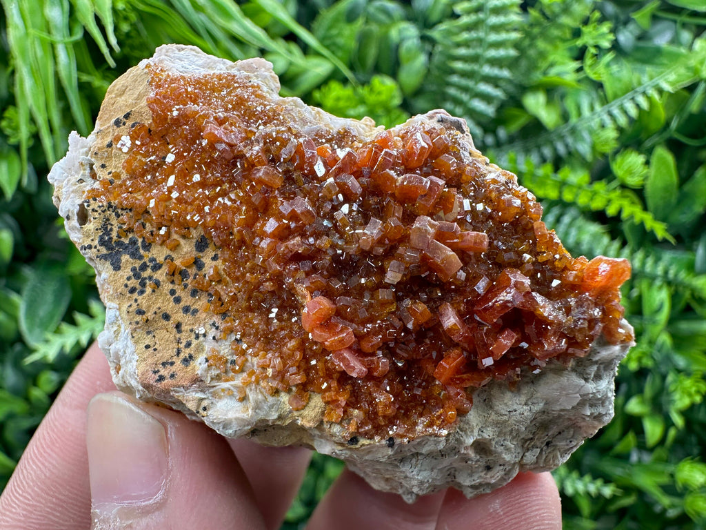 Red Vanadinite Crystal Cluster on Matrix, Morocco Mineral Specimen