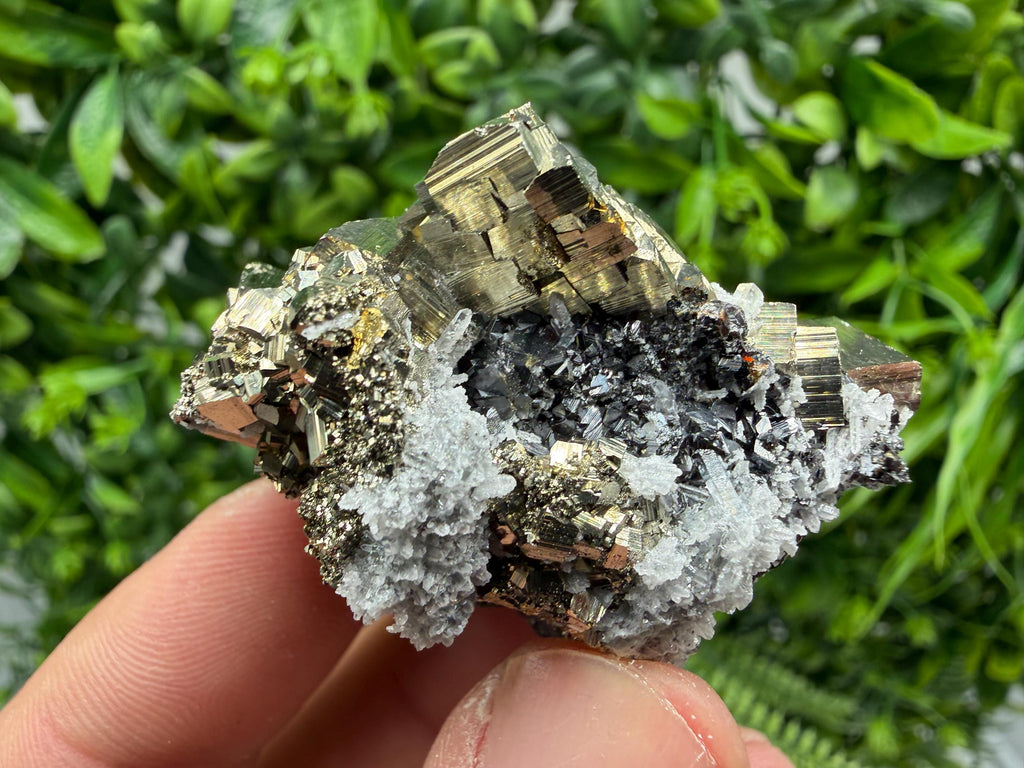 Pyrite Sphalerite Quartz  Mineral Specimen, Krushev dol Mine