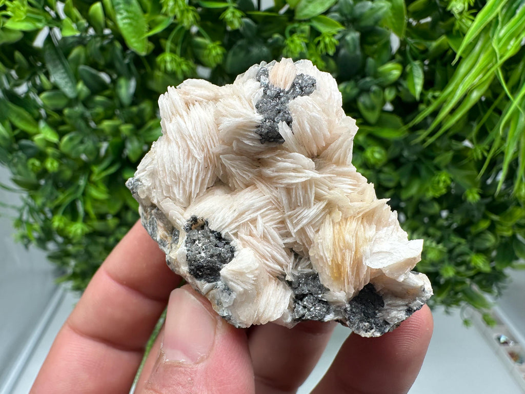 Wonderful Baryte with Cerussite on Galena from Morocco,Crystal, Mineral,Specimen,Cluster,Crystals,Barite Crystal,Cerussite Crystal,Specimen