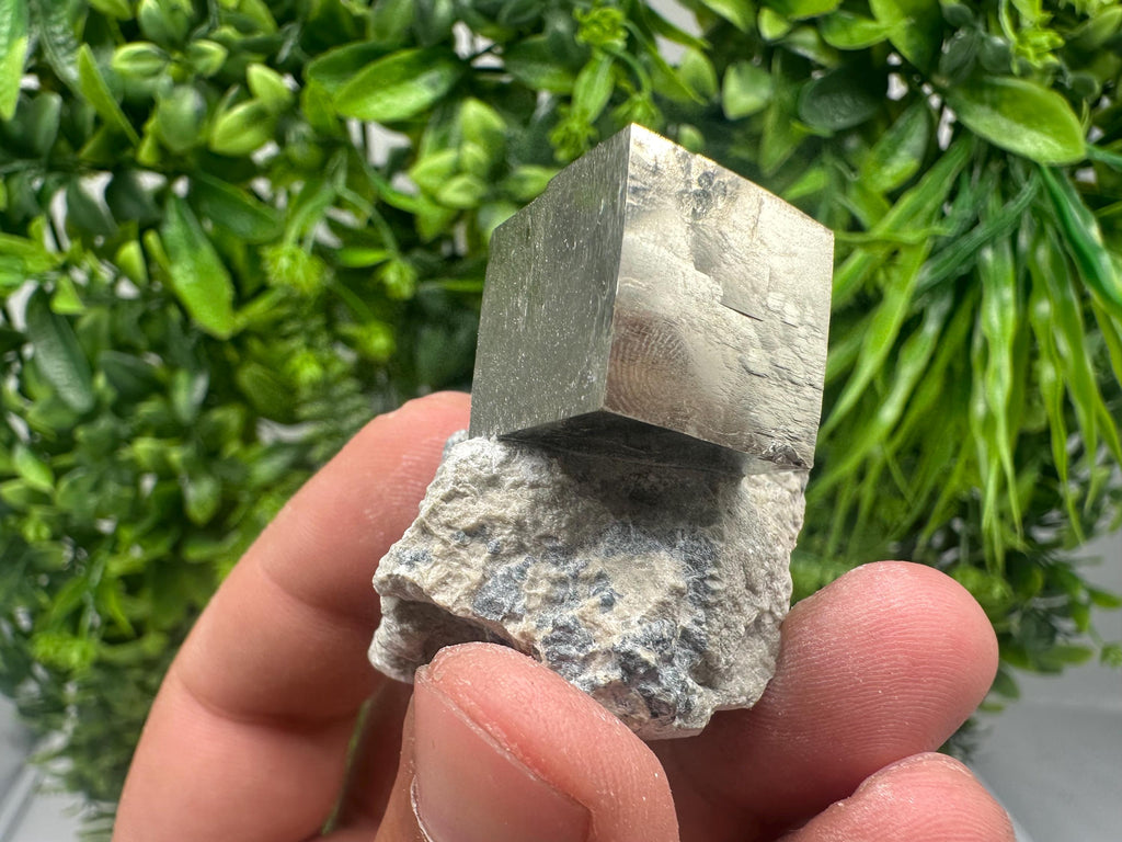 Large Pyrite cubes on Matrix,Gold,Cube PYRITE, Navajun, La Rioja,SPAIN,natural Pyrite shiny Pyrite home decor stone gift minerals,collectibl