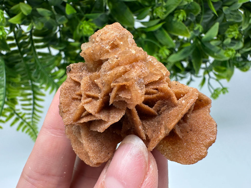 Desert Rose Crystal: Root Chakra Healing Selenite Stone