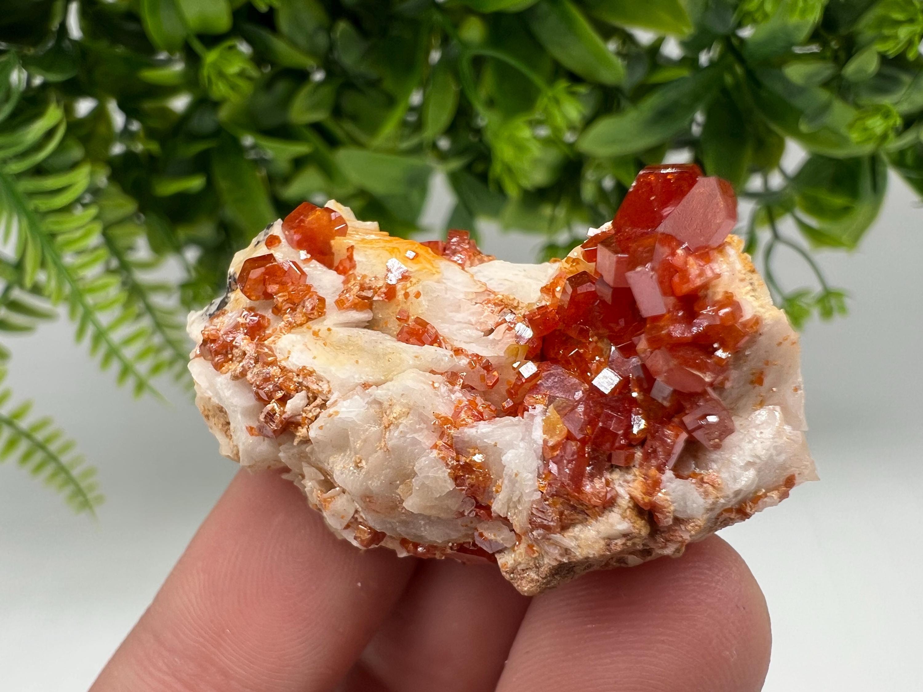 Red Vanadinite on Barite from Marocco,crystal minerals Speciment cluster Vanadinite crystal Vanadinite Geology Vanadinite cluster minerals