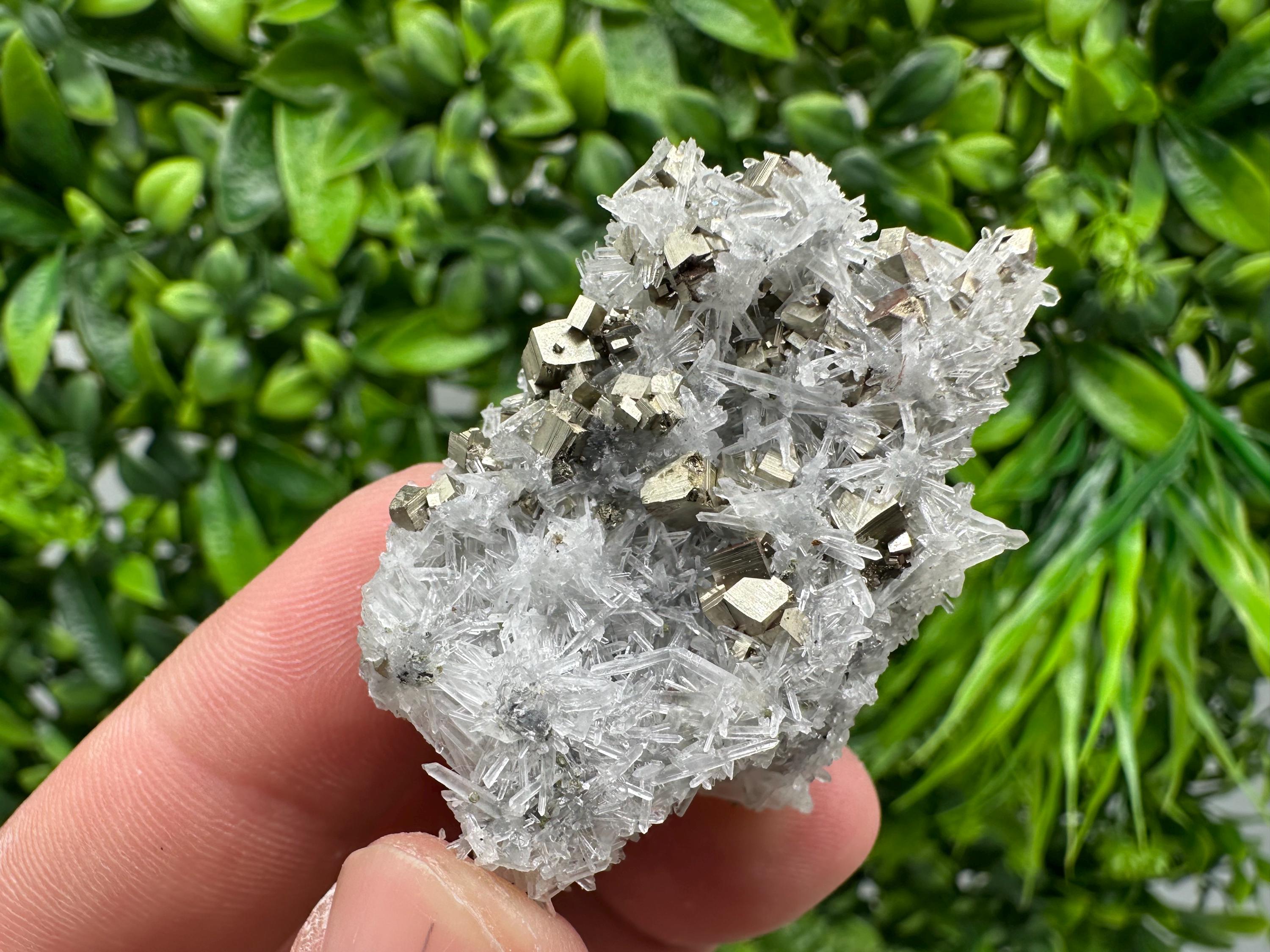 Pyrite on Green Quartz Mineral Specimen, Borieva Mine Bulgaria
