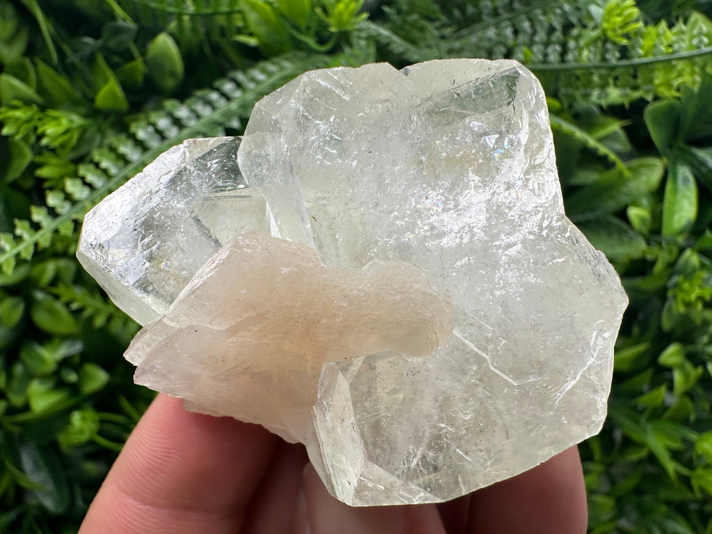 Apophyllite with Stilbite, India Mineral Specimen, Rare Crystal