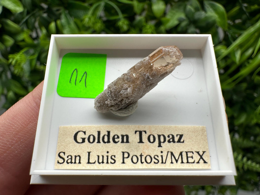Golden Topaz Crystal, Mineral Specimen from Mexico